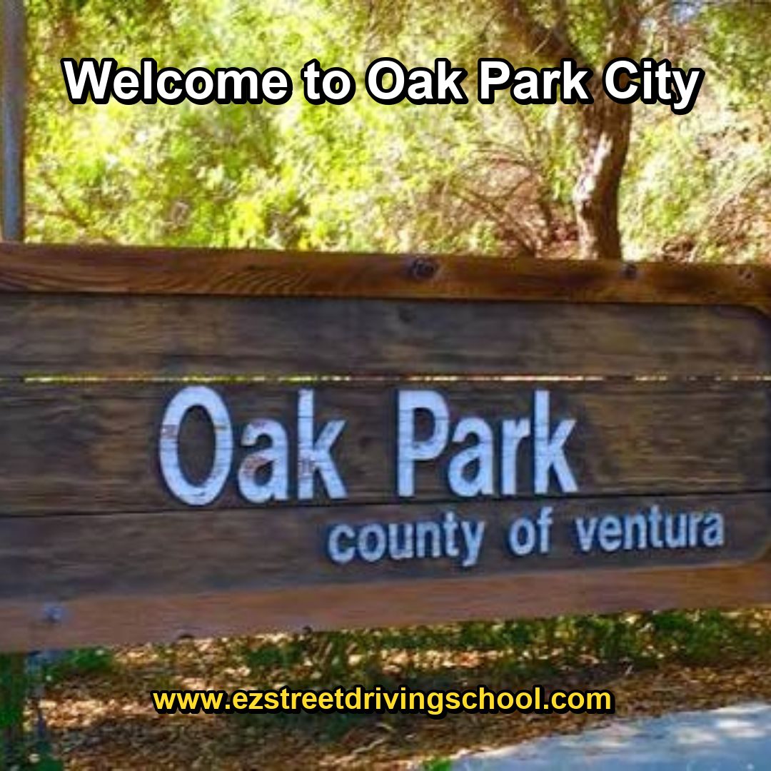 Driving Lessons in Oak Park